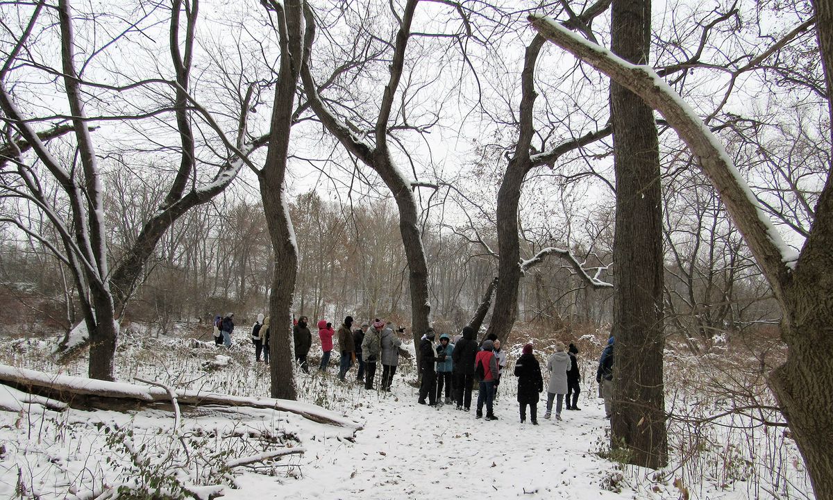 Hot Cocoa Hike