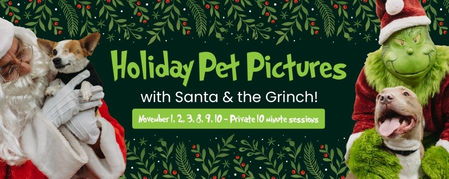 Holiday Pet Pictures