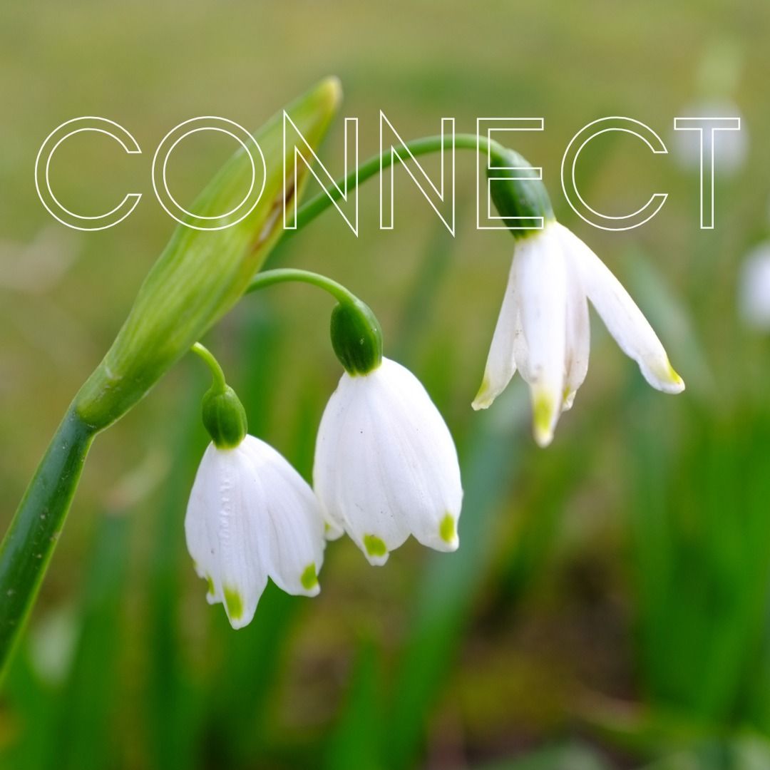 Connect with Nature: Connect with You - A Half-Day Immersive Wellness Retreat