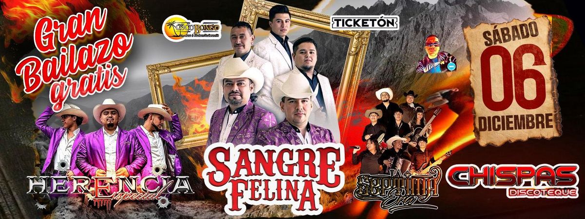 SANGRE FELINA, HERENCIA ESPECIAL & MAS