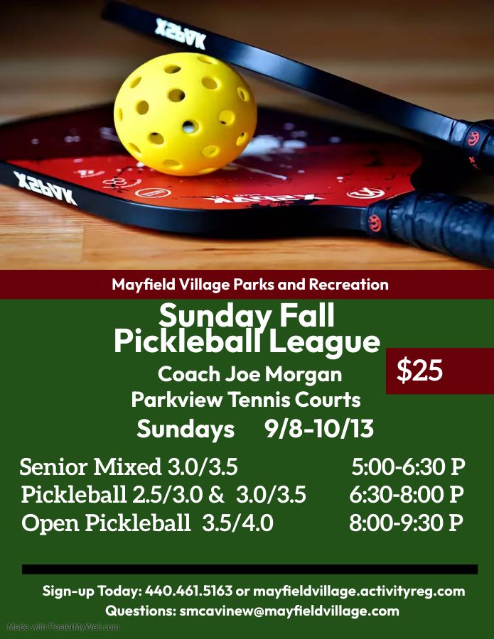 PICKLEBALL INSTRUCTIONAL PROGRAMS