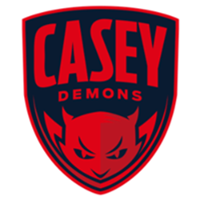 Casey Demons Netball