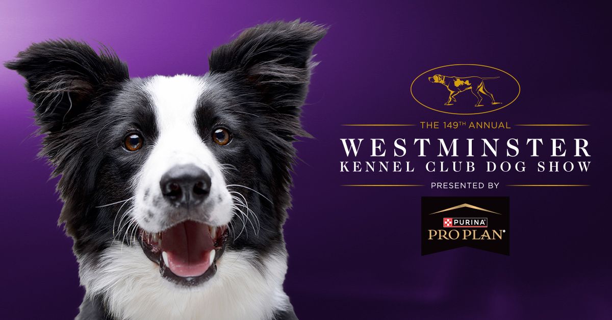 149th Annual Westminster Kennel Club Dog Show