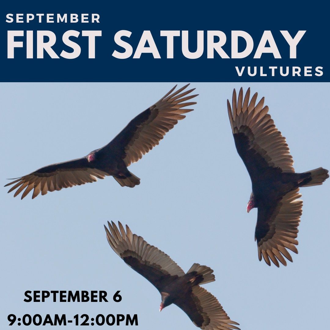 First Saturday - Vultures