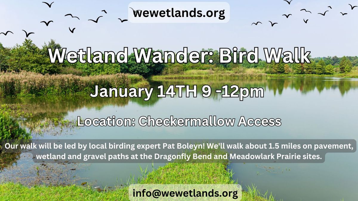 January Wetland Wander