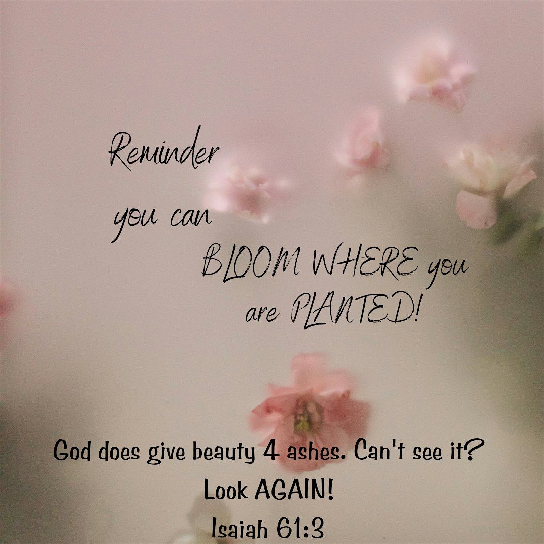 BEAUTIFUL ASHES WOMENS IN-REACH INTENSIVE