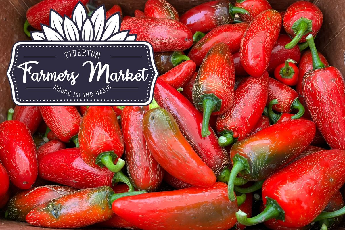 Tiverton Farmers Market - Winter Season