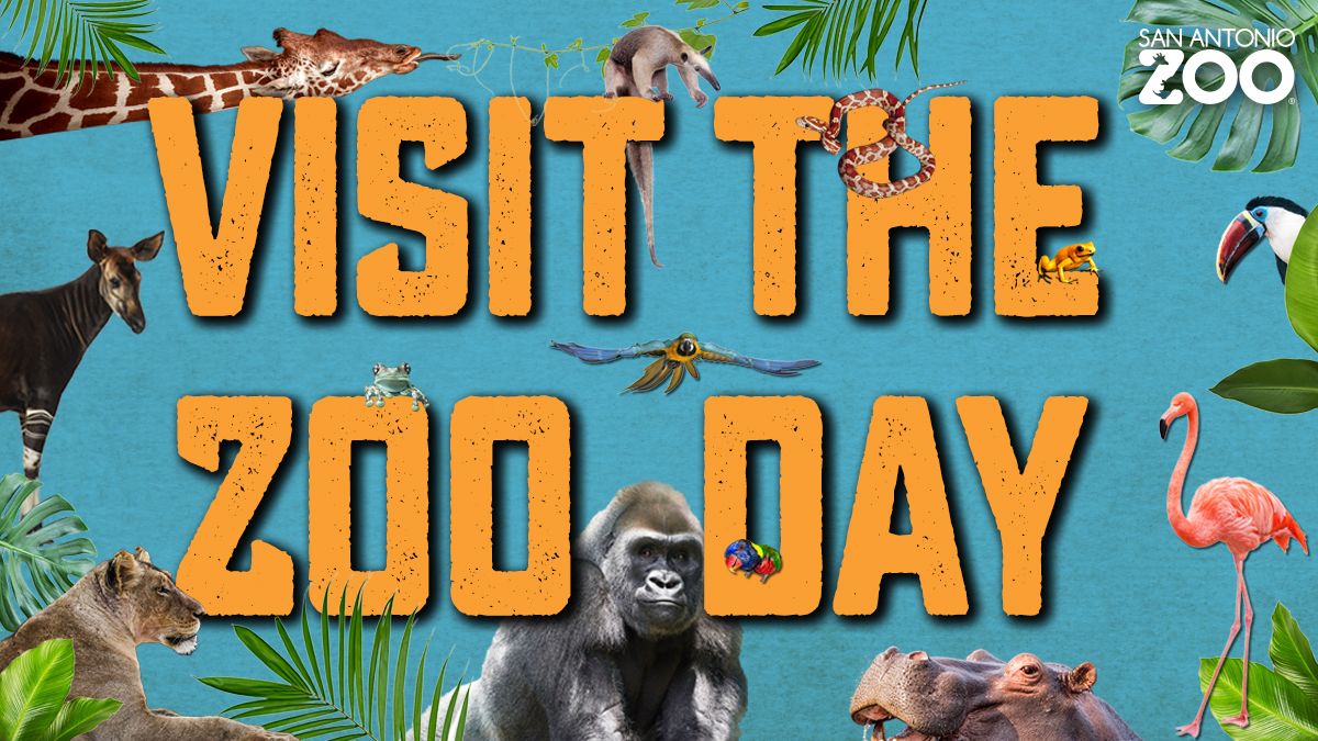 Visit the Zoo Day | San Antonio Zoo