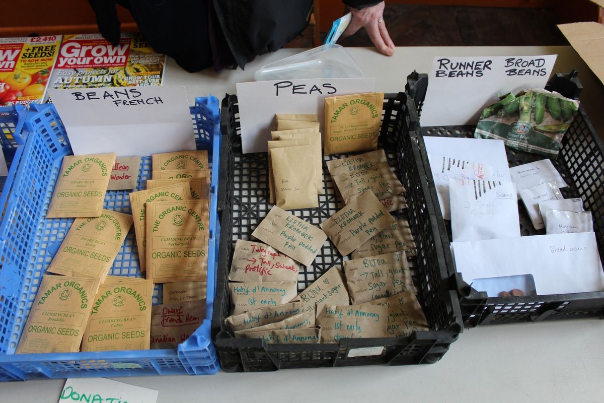 2nd Annual Willow Glen Seed Swap - San Jose