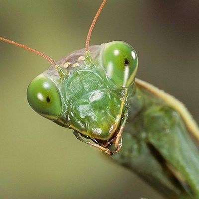 Terraristikb\u00f6rse Berlin GbR