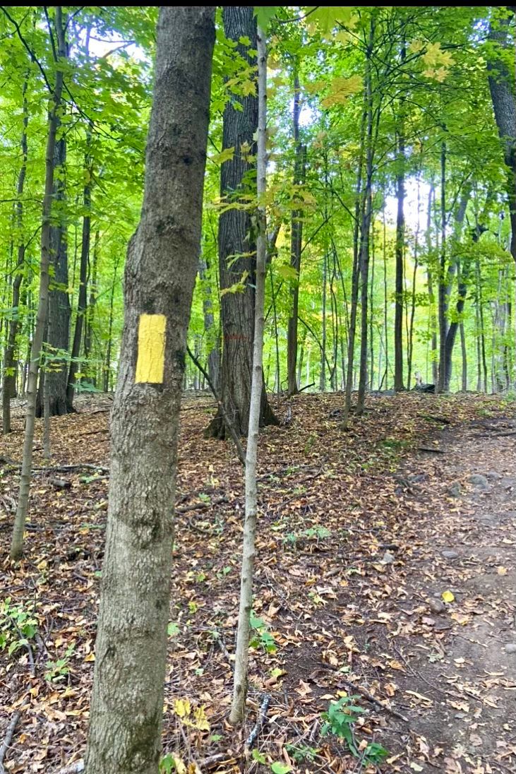 Storrs Lake Wildlife Area Candlelight Hike