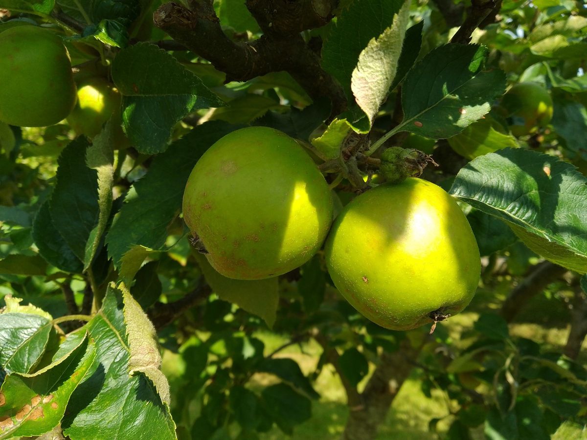 Saturday Pick your own day 5 October 