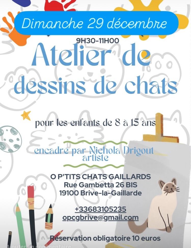 Cours de dessin de chats 