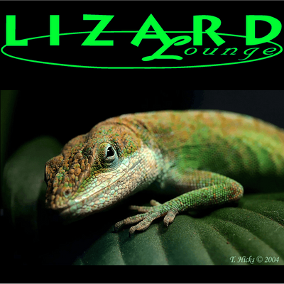 Lizard Lounge