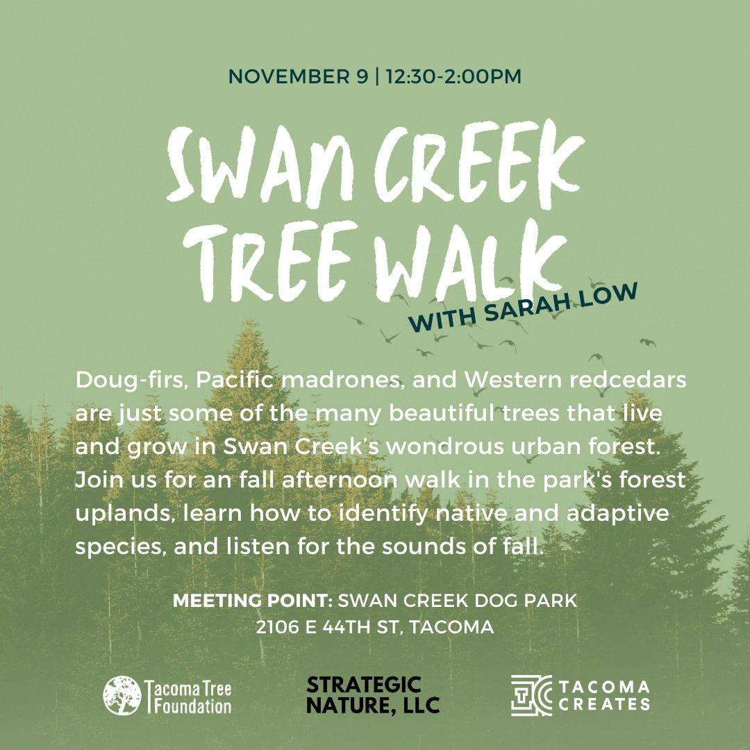 Swan Creek Park Tree Walk with Sarah Low