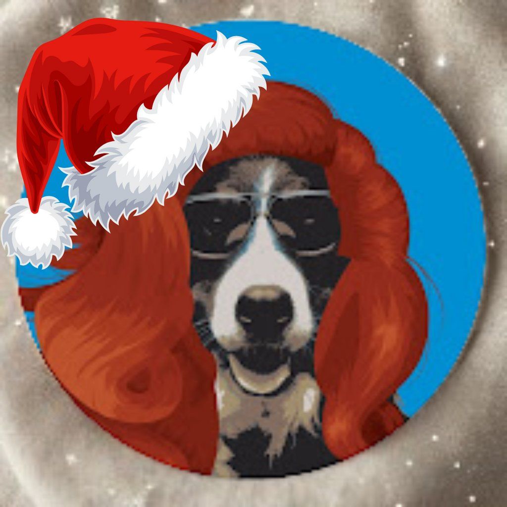 The Kings Heath Christmas Pantomime