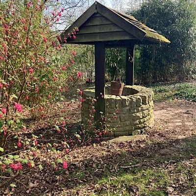 Harmony Health Wellbeing CIC