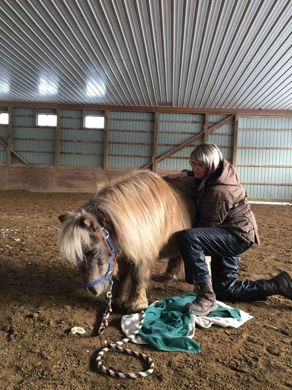 Equine Craniosacral Therapy~The Essentials 101 Seminar