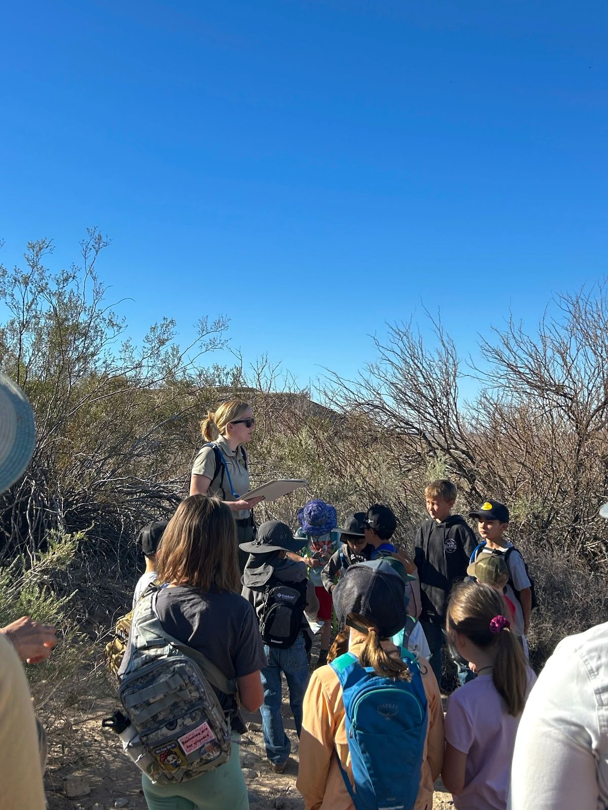 Junior Ranger Day