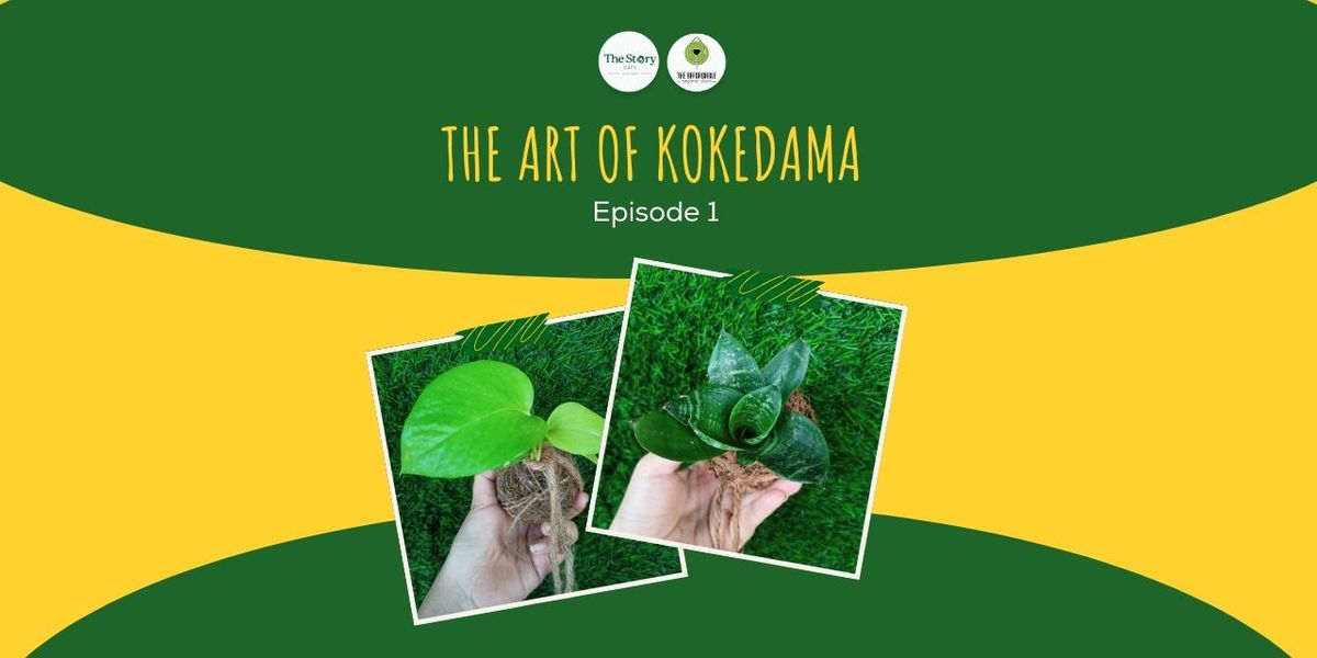 The Art of Kokedama