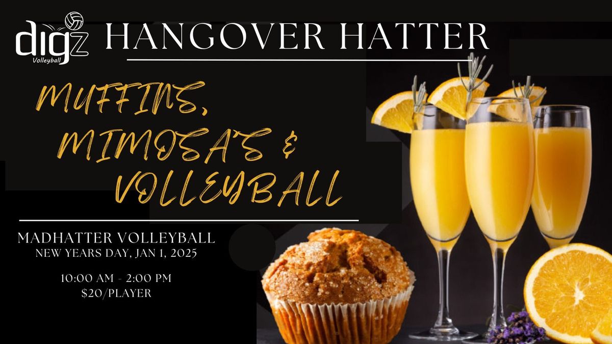 Hangover Hatter Volleyball Tournament 