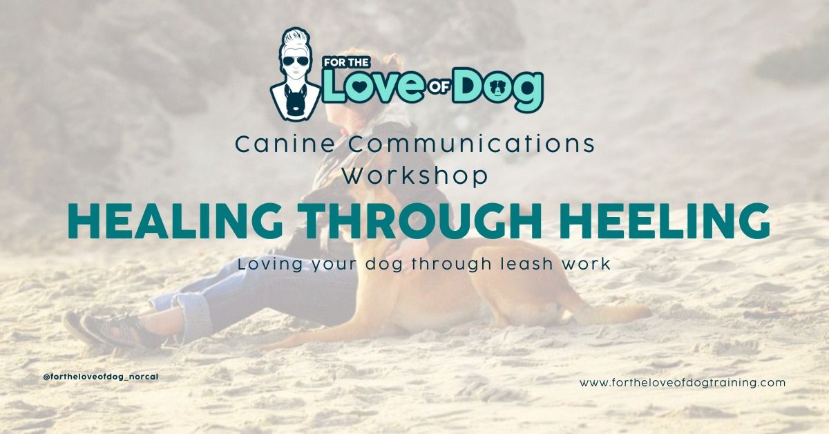 Healing with Heeling: Loving your dog through the Leash Workshop