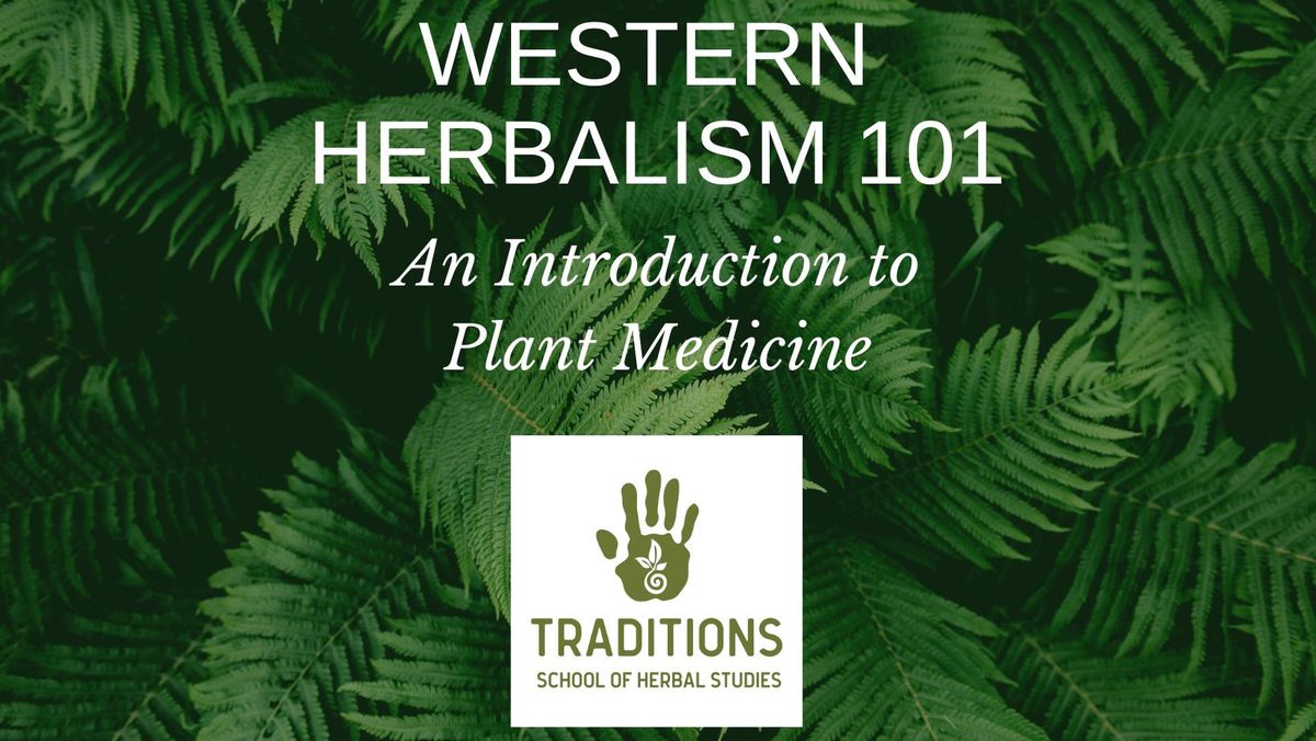 Western Herbalism 101