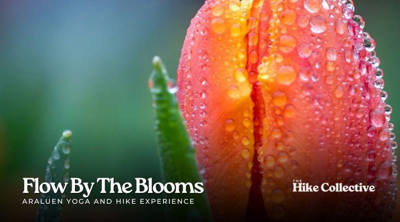 Flow By The Blooms