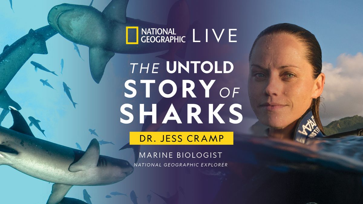 Jess Cramp: Untold Story of Sharks