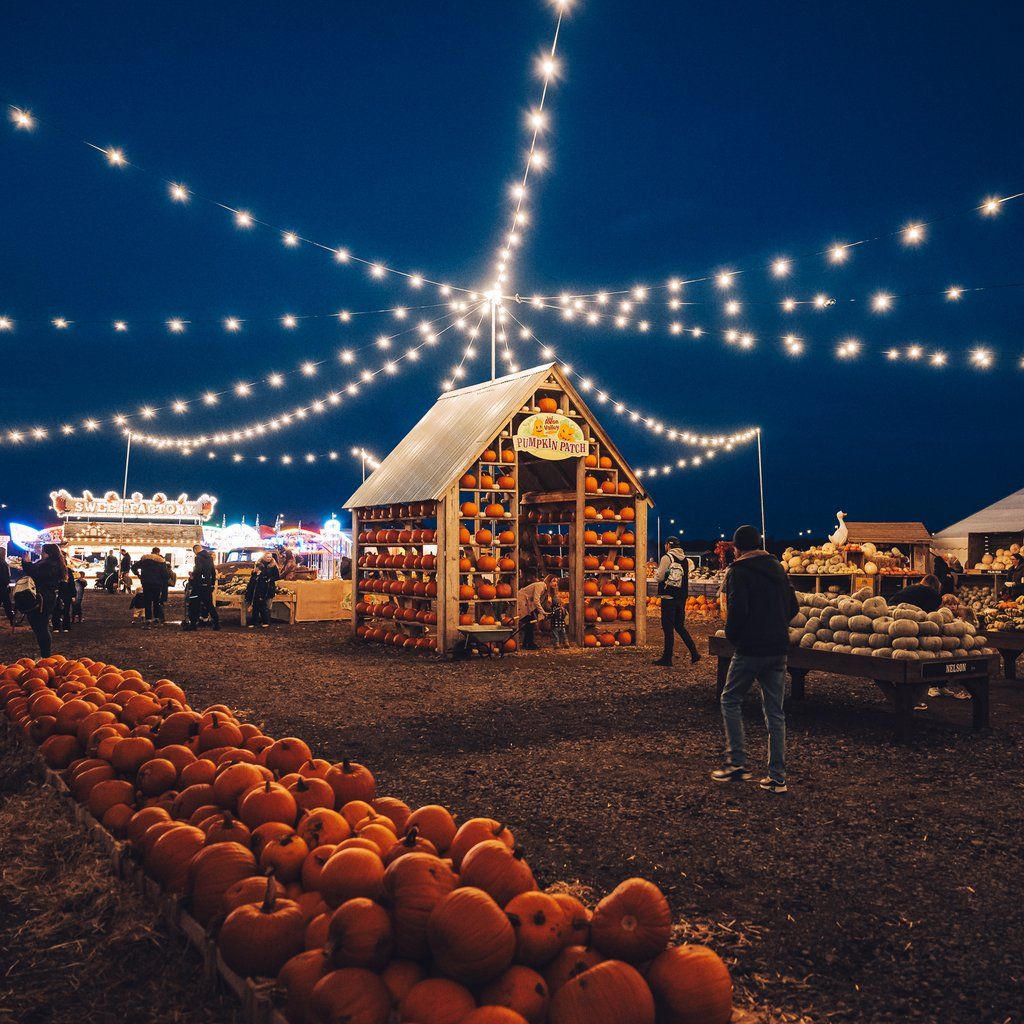 Avon Valley Pumpkin Patch Nights