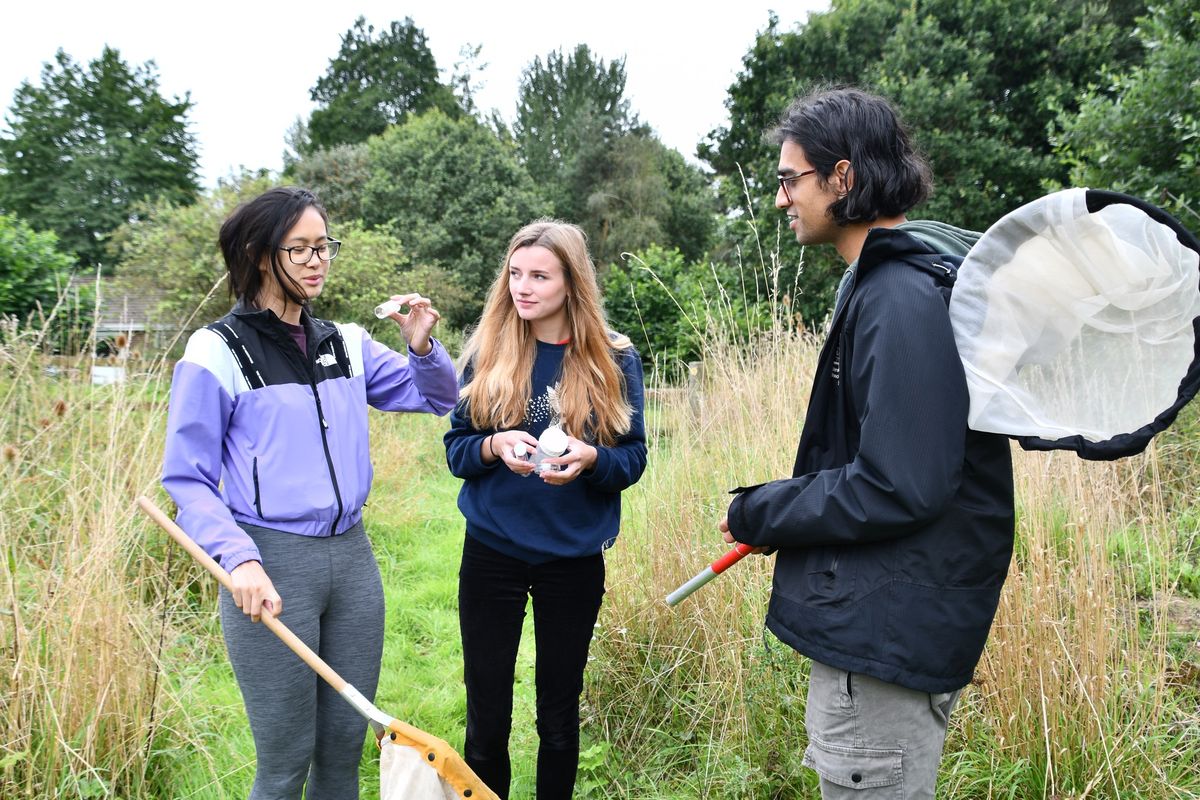 Conservation Camp Residential