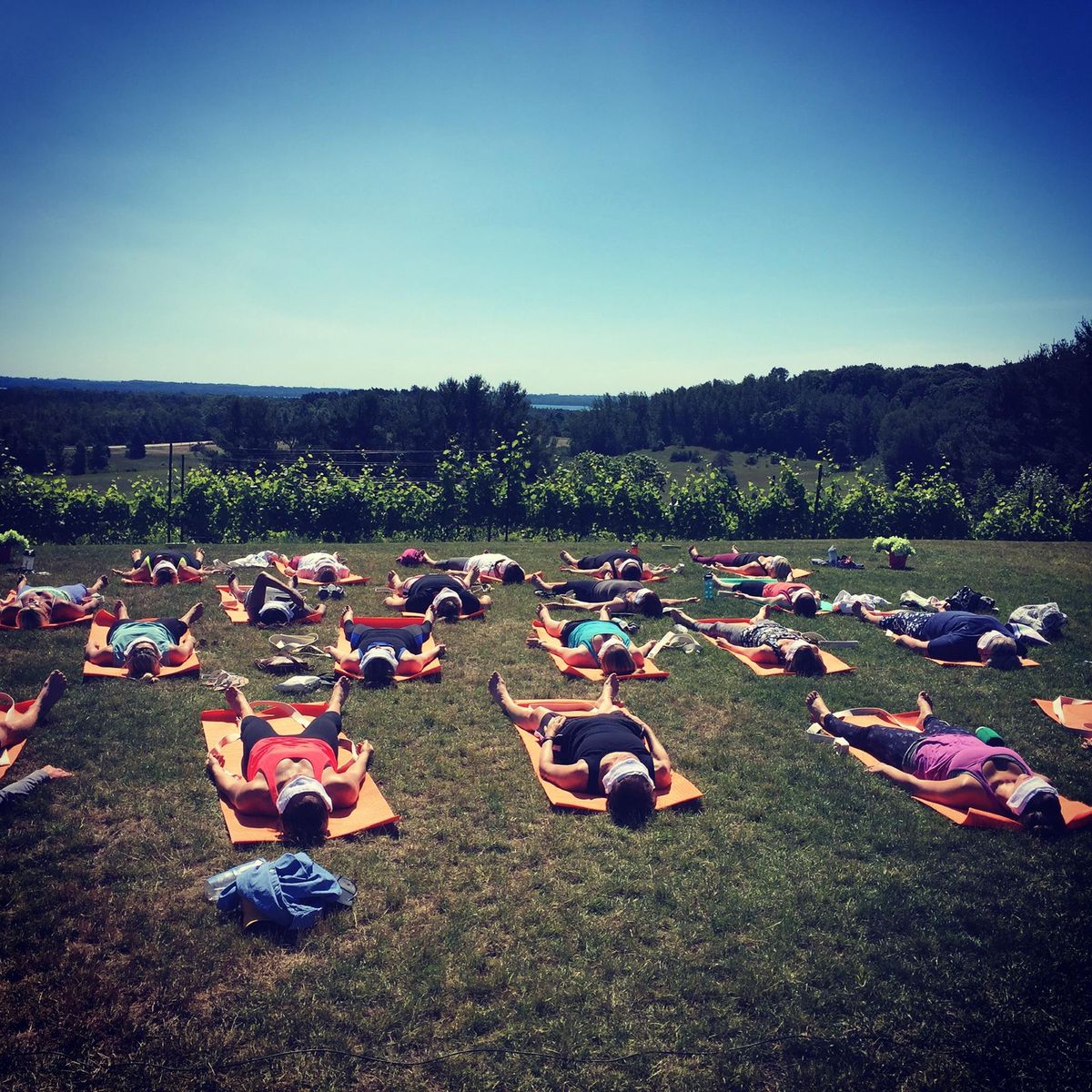 SUNDAY YOGA IN THE VINES @ BLACK STAR FARMS SUTTONS BAY