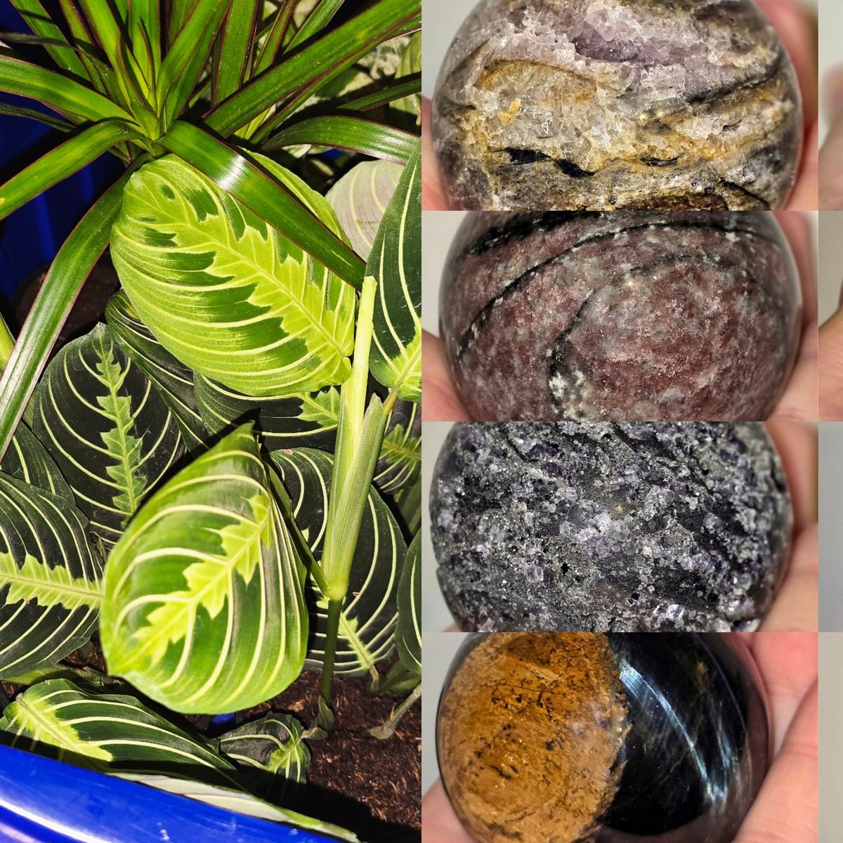 Plant & Crystal Sale 