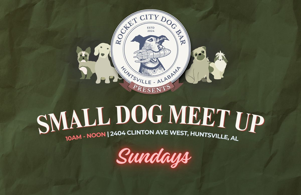 Small Dog Meet Up Sunday