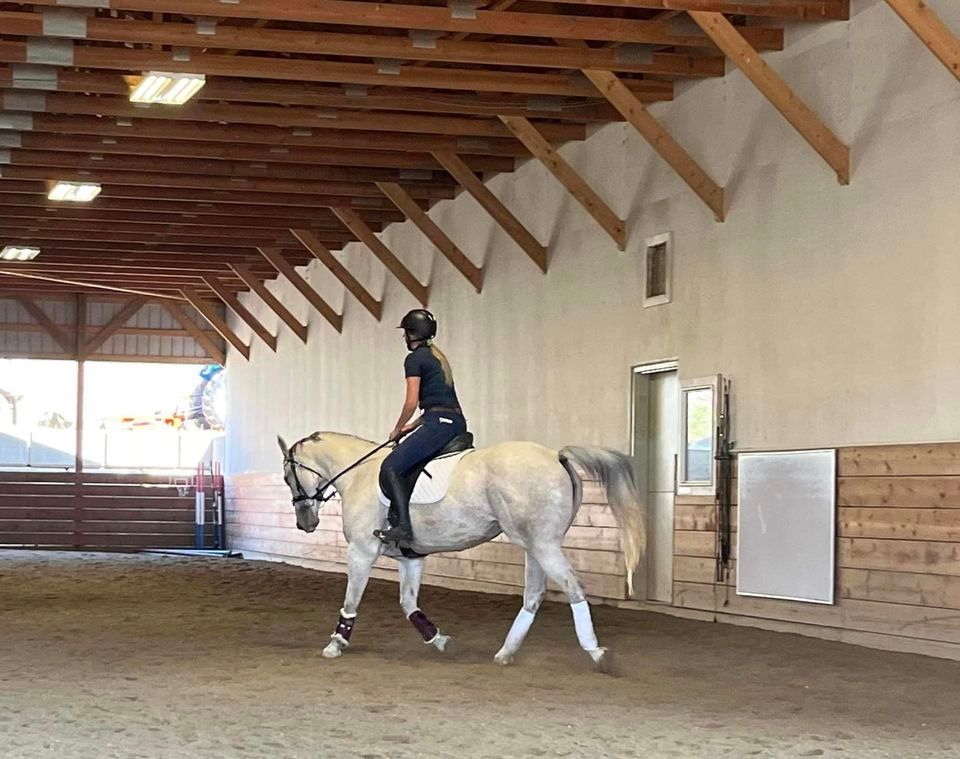 Shelley Mills 2024 June Dressage Clinic (3 of 6 in 2024), Kamloops ...