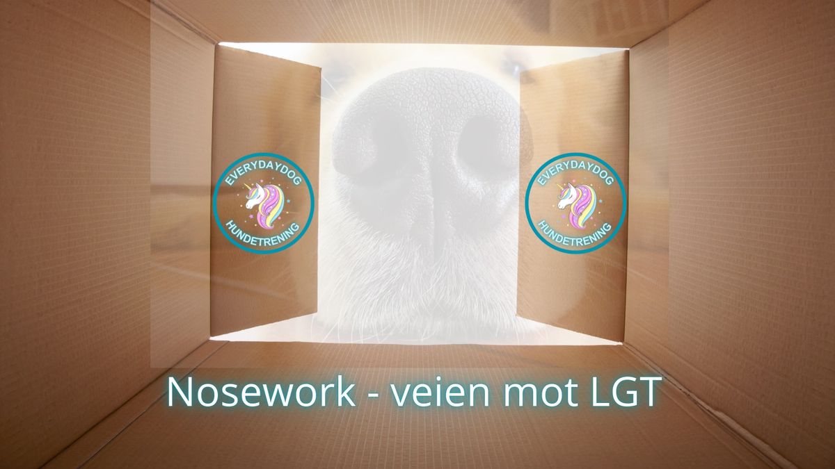 Nosework  - veien mot LGT