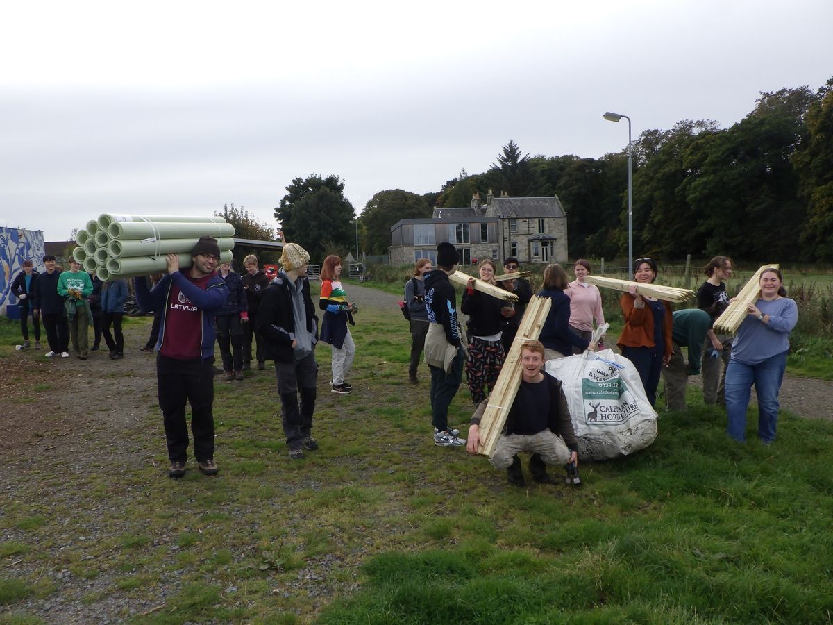 Volunteer Tree Care October-November