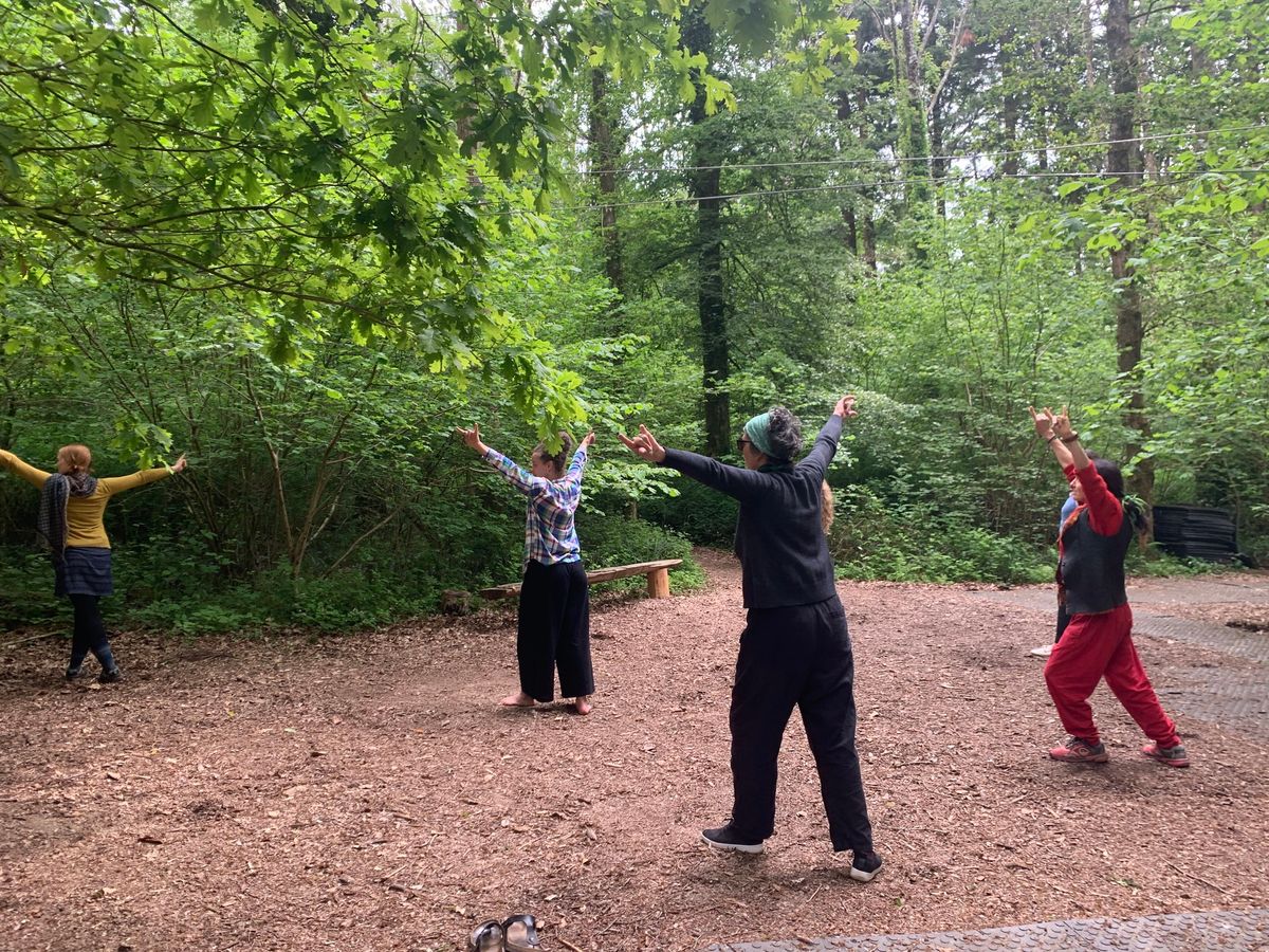 Qigong in the woods- a 5 week course for women