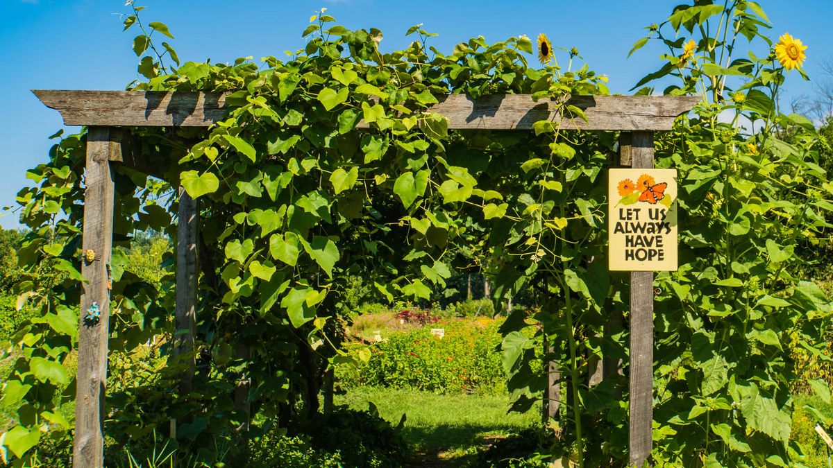 Arbour Assembly