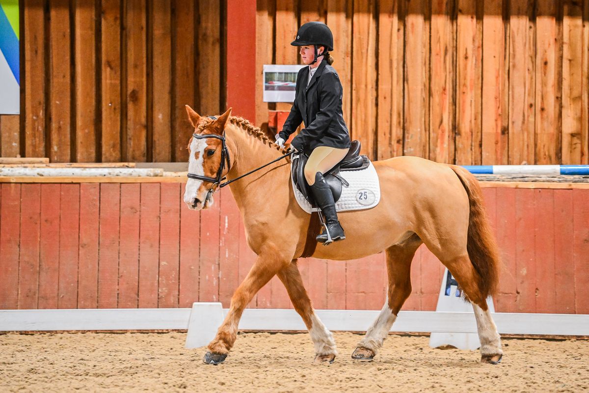 Unaffiliated Evening Dressage 