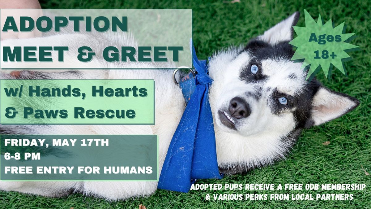 Adoption Meet & Greet w\/ Hands, Hearts, and Paws at Omaha Dog Bar