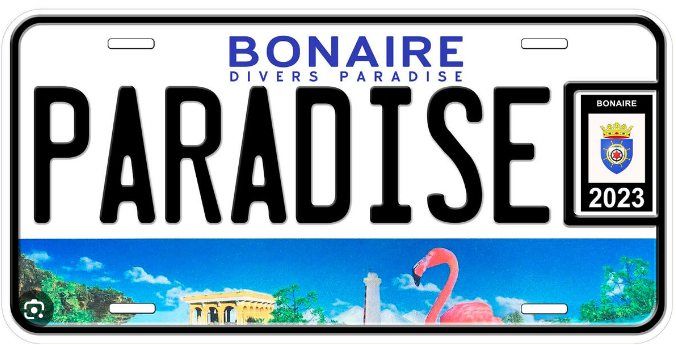 Dive with us in Bonaire in 2025