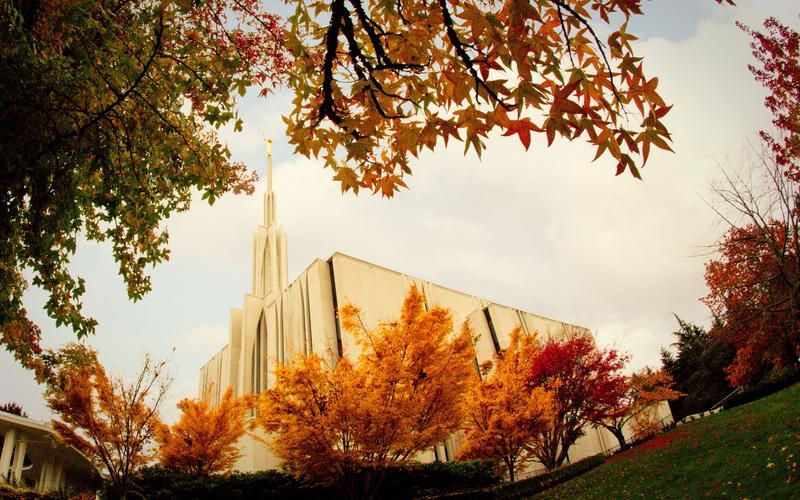 Stake Fill the Temple Day