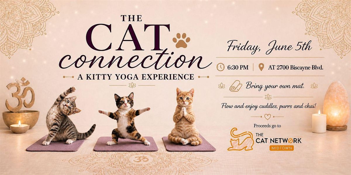 Yoga with Cats: The Cat Connection