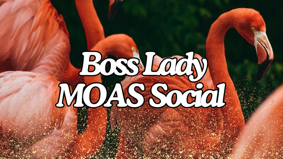 Boss Lady MOAS Social