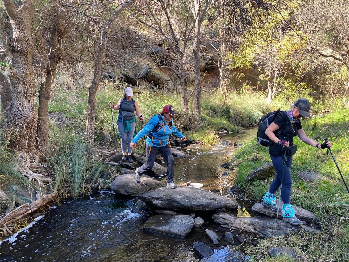 Upper Sturt Gorge Loop (8km)