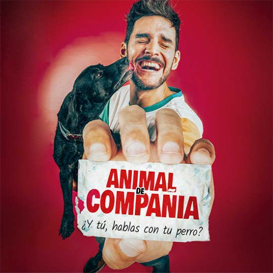 Animal de Compa\u00f1\u00eda en M\u00e1laga