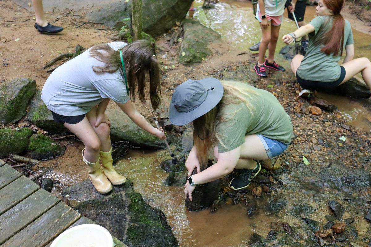 Aquatic Adventurers Summer Camp