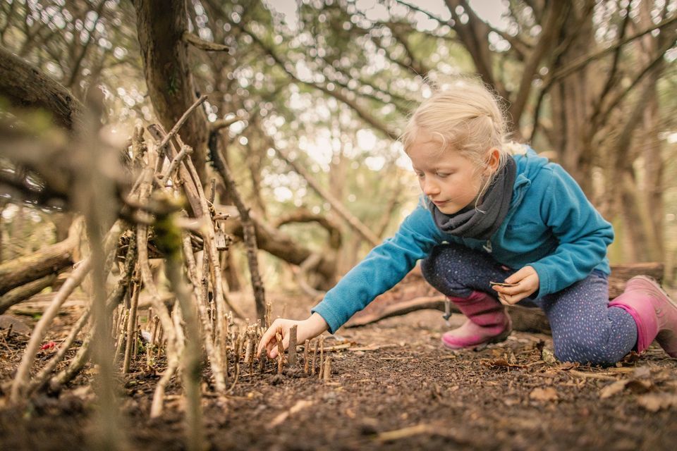 FAMILY FOREST FUN FOR FAMILIES WITH CHILDREN 4 - 10 YEARS