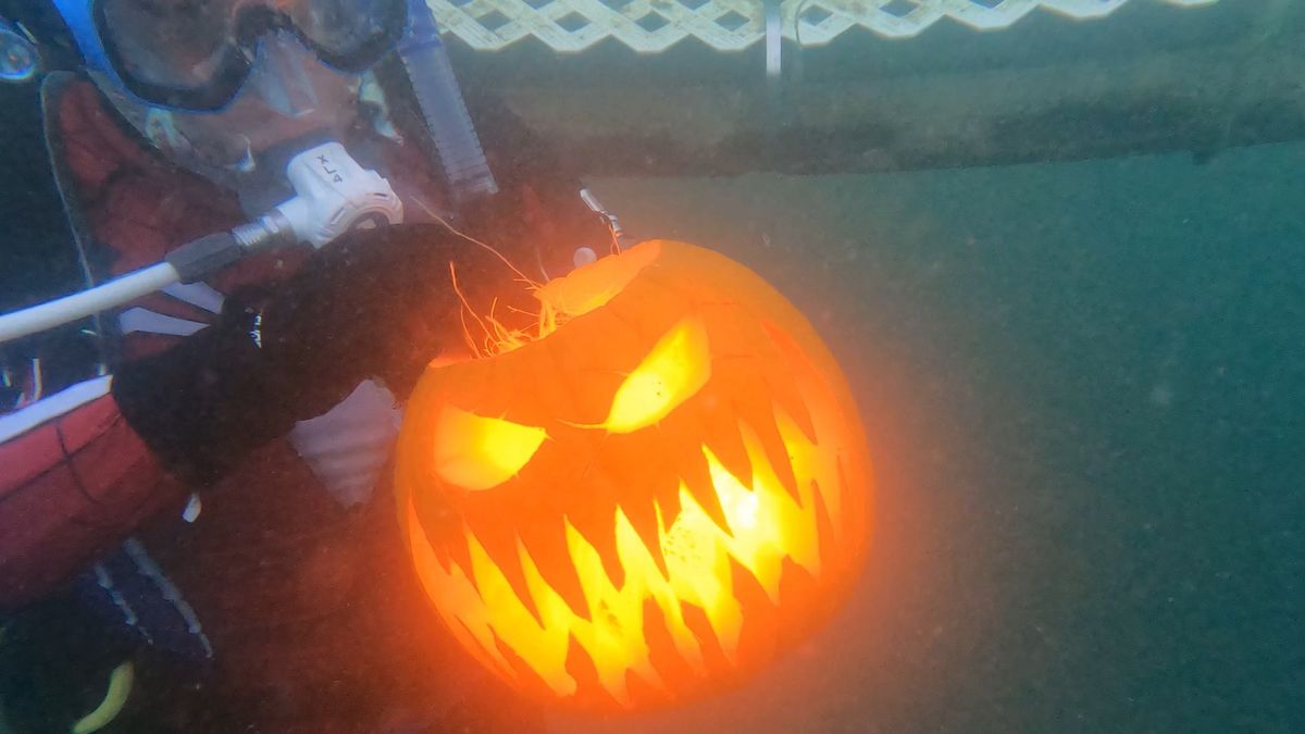 Underwater Pumpkin Carving Contest